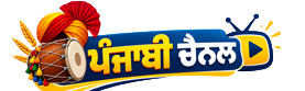 Punjabi Channel